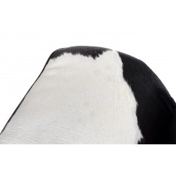 Szezlong inspirowany projektem LC4 Pony