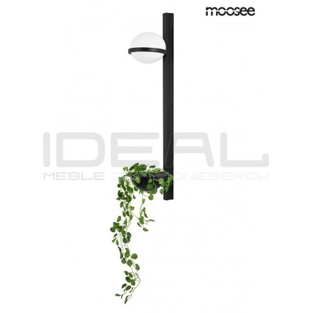 Kinkiet z doniczką PLANT z zieloną rośliną