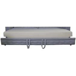 Funkcja Spania delfin DK