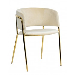 Krzesło DELTA – elegancja, welur i złote nogi| IdealMeble.pl