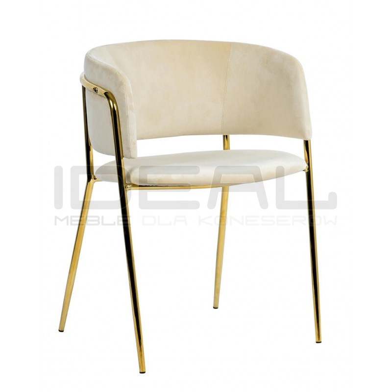 Krzesło DELTA – elegancja, welur i złote nogi| IdealMeble.pl