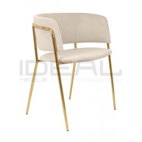 Krzesło DELTA – elegancja, welur i złote nogi| IdealMeble.pl