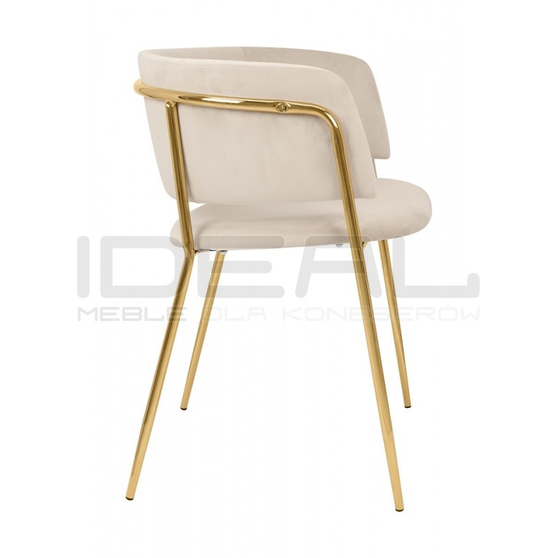 Krzesło DELTA – elegancja, welur i złote nogi| IdealMeble.pl