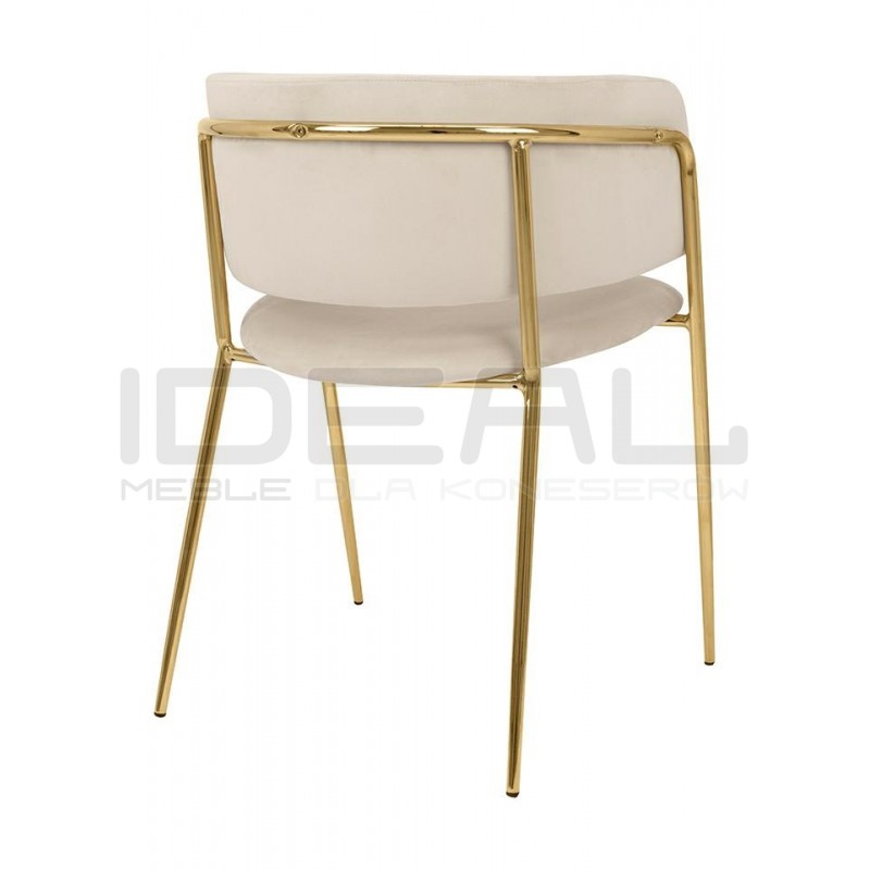 Krzesło DELTA – elegancja, welur i złote nogi| IdealMeble.pl