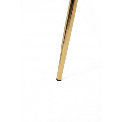 Krzesło DELTA – elegancja, welur i złote nogi| IdealMeble.pl