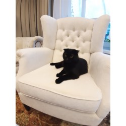 Sofa Chesterfield rozkładana Original Classic welur, plusz 3 os.