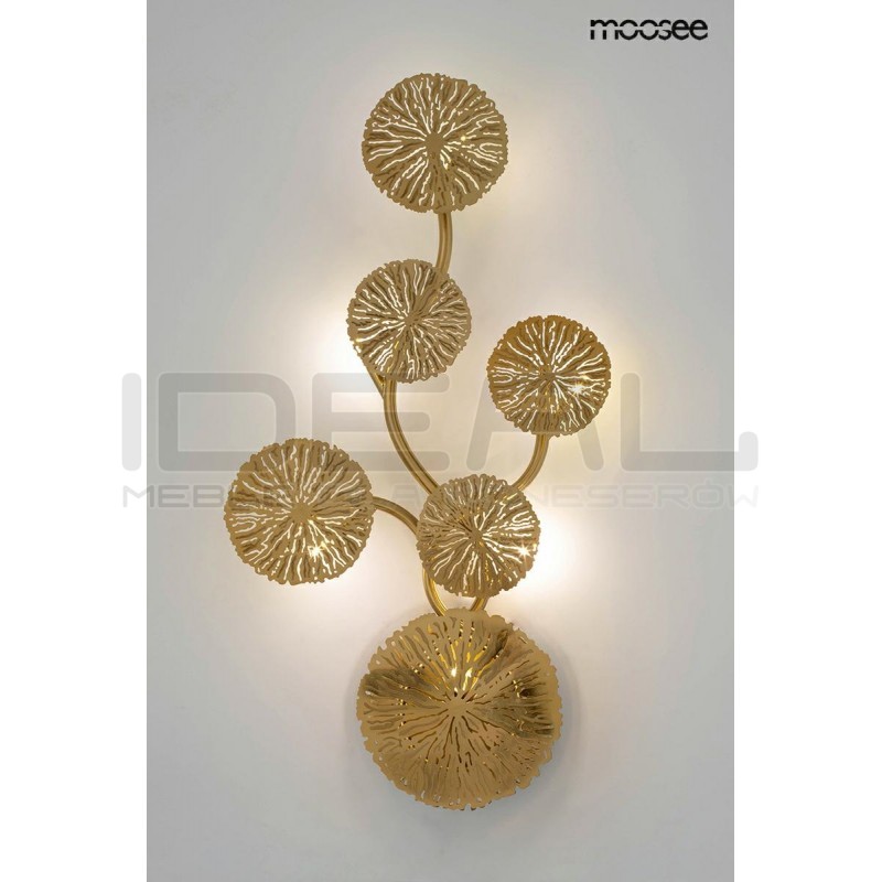 Kinkiet LIRIO 6 złoty