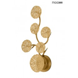 Kinkiet LIRIO 6 złoty