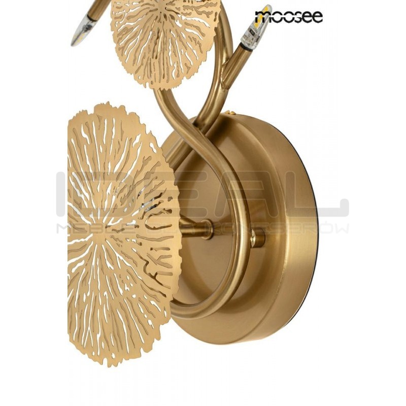 Kinkiet LIRIO 6 złoty