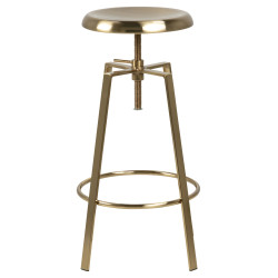 Hoker regulowany Gold złoty