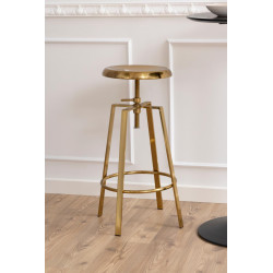 Hoker regulowany Gold złoty