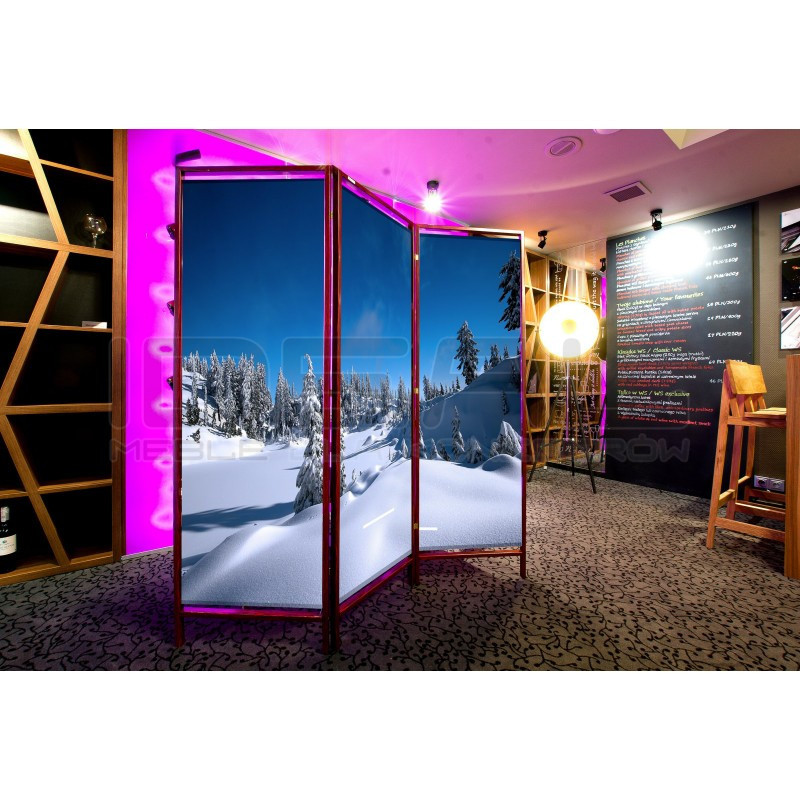 Parawan dekoracyjny drukowany Vistas | IdealMeble.pl