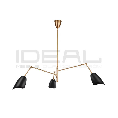 Lampa wisząca RAGNO – designerski żyrandol w czarnym kolorze