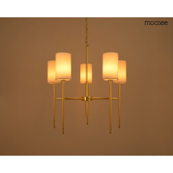 Lampa wisząca IMPERIO 5 złota Moosee – elegancki żyrandol
