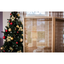 Parawan bambusowy Bambus