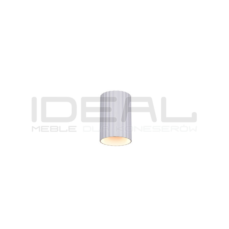 Lampa Ryflik – Metalowy Spot Cylindryczny, tuba
