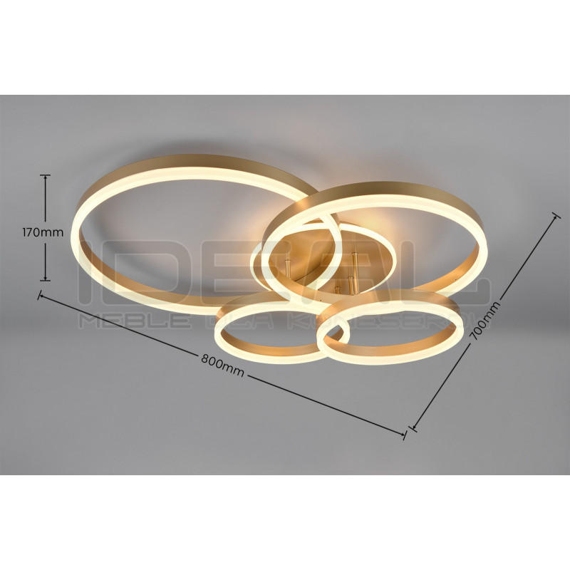Plafon Starkey 4 złote okręgi  |  IdealMeble.pl