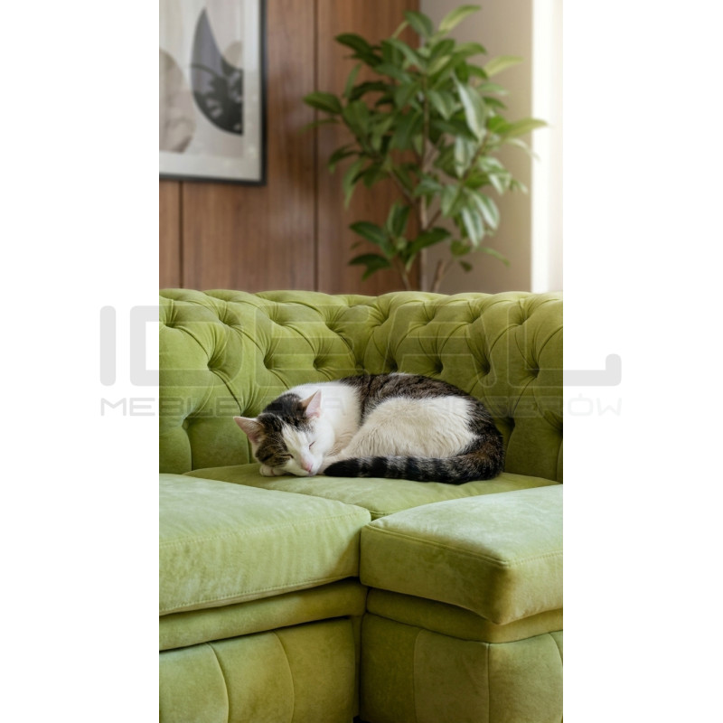 Narożnik Chesterfield Normal 140x260