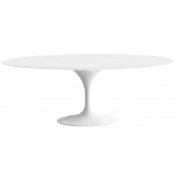 Stół Inspirowany Projektem Tulip Z owalnym Blatem