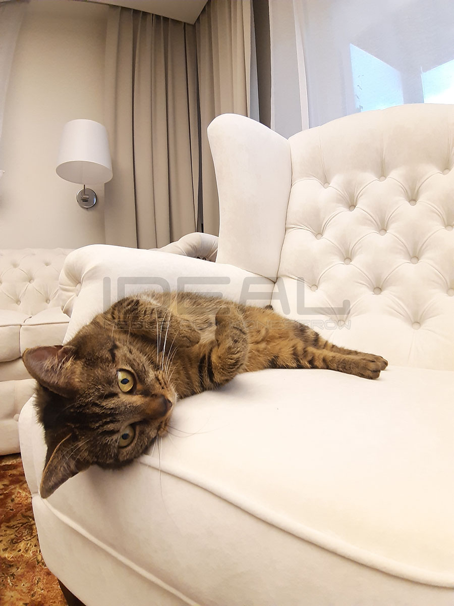 komplet chesterfield welur