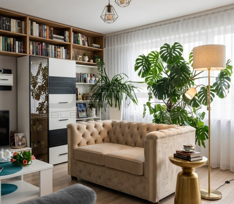 Fotel Rozkładany Chesterfield Celebrity z funkcją spania codziennego IdealMeble.pl